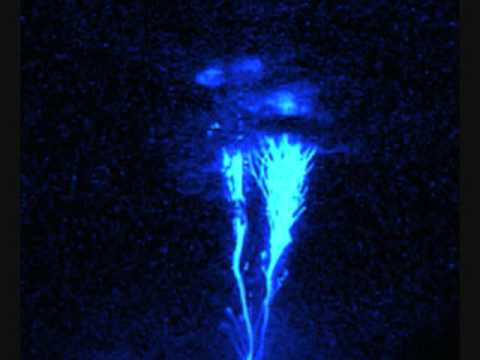 Image result for Blue jets