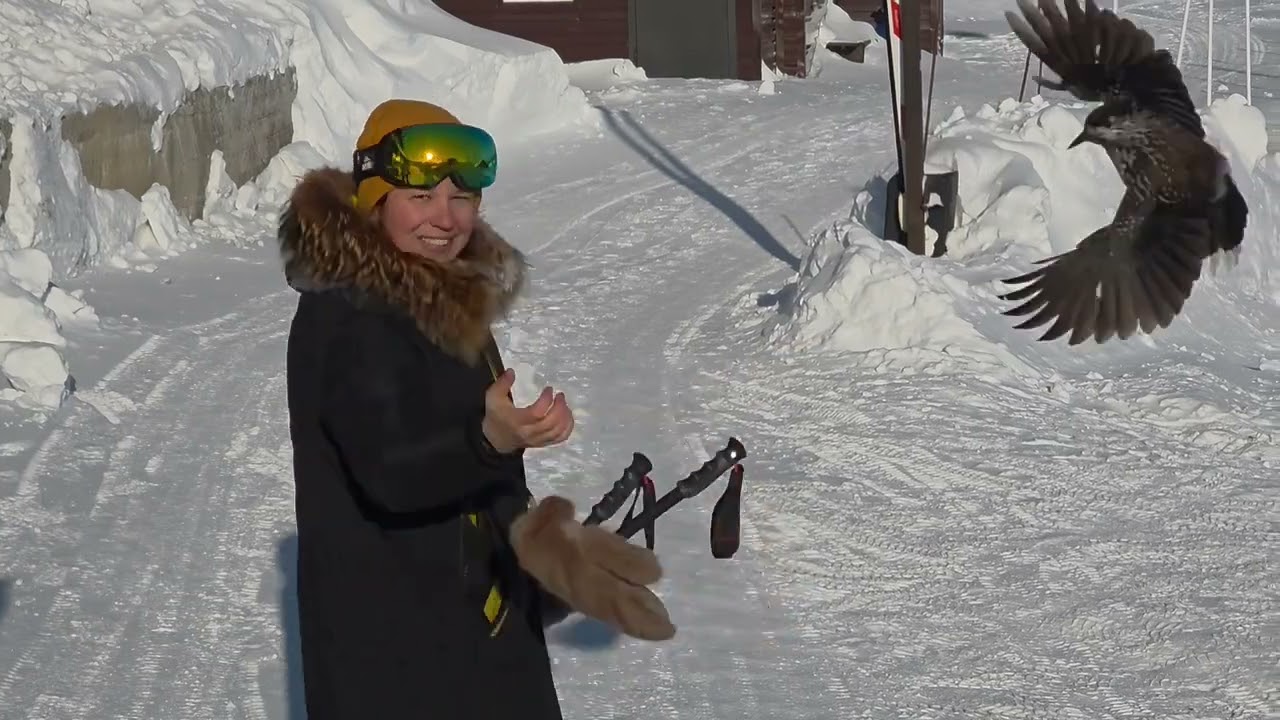 Шерегеш 17 января 2026 г.