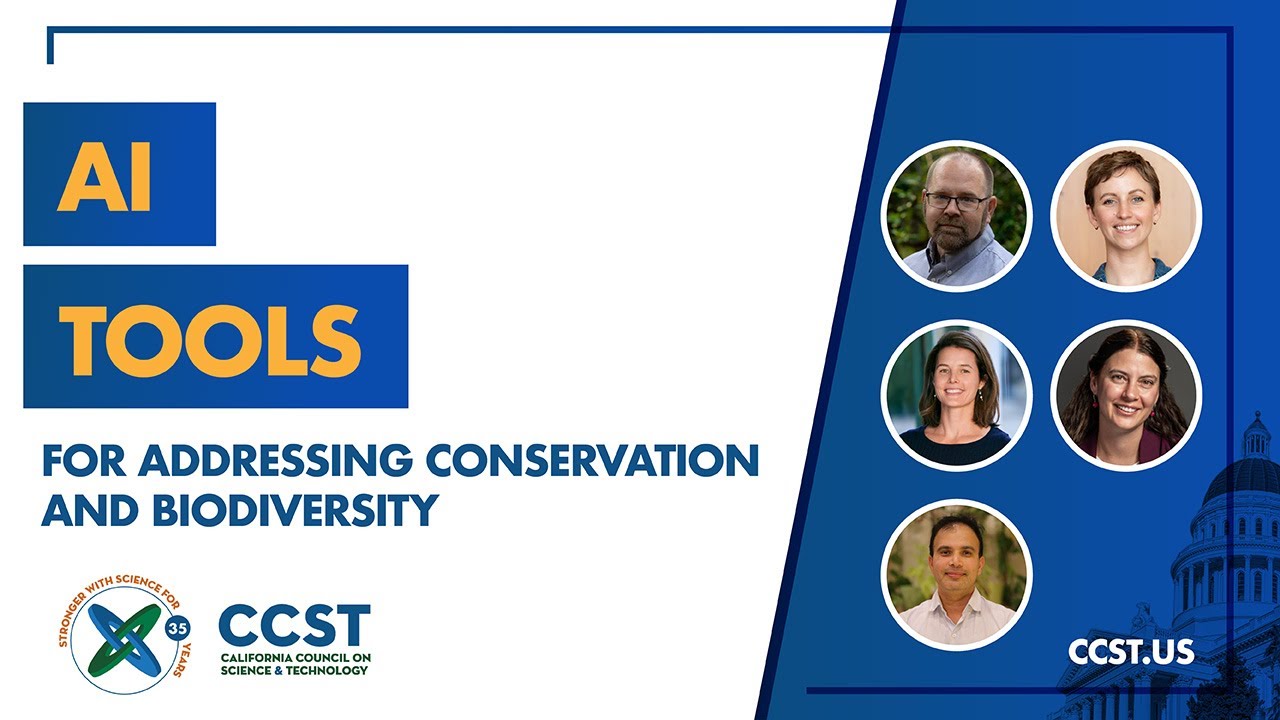 AI Tools for Addressing Conservation and Biodiversity