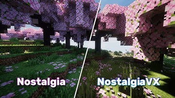 Minecraft: Free VS Paid Shader Comparison | Nostalgia vs Nostalgia VX