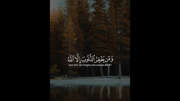 قرآن الكريم بصوت ماهر المعيقلي اجمل حالات واتس اب دينية سورة ال عمران فيديو قصيره 🤍🌿