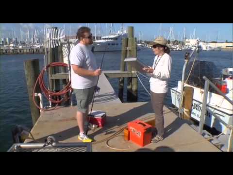 The Science Behind Florida's Marine Fisheries (Part 1, Marine Fisheries Research)