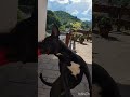 OMG