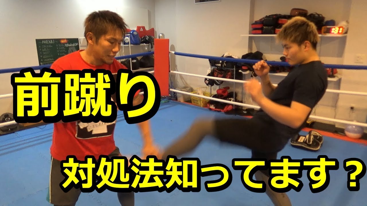 【キックボクシング】前蹴りの捌き方や対処法を解説！【ムエタイ】