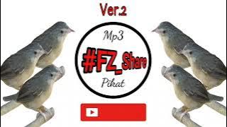 Mp3 Pikat Suara Cigun Betina