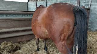 4 Février 2023. Vanille