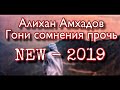 Алихан Амхадов - Гони сомнения прочь - NEW 2019