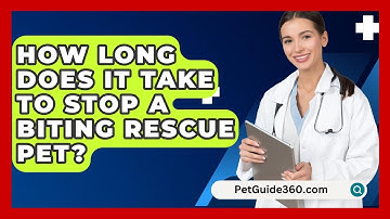 How Long Does It Take To Stop A Biting Rescue Pet? - PetGuide360.com