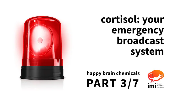 Cortisol: Your Emergency Broadcast System (#3 of 7) - Happy Brain Chemicals