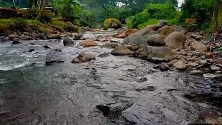 Relaxing river sounds, white noise for sleep, insomnia, meditation and study