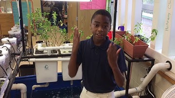 An Introduction to the MAJ STEM Lab