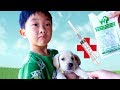 강아지 감기로 아파요! 예준이의 애완 동물 병원 주사 맞기 어린이 동물 체험 일상 Puppy Animal Hospital Pet Family for Kids