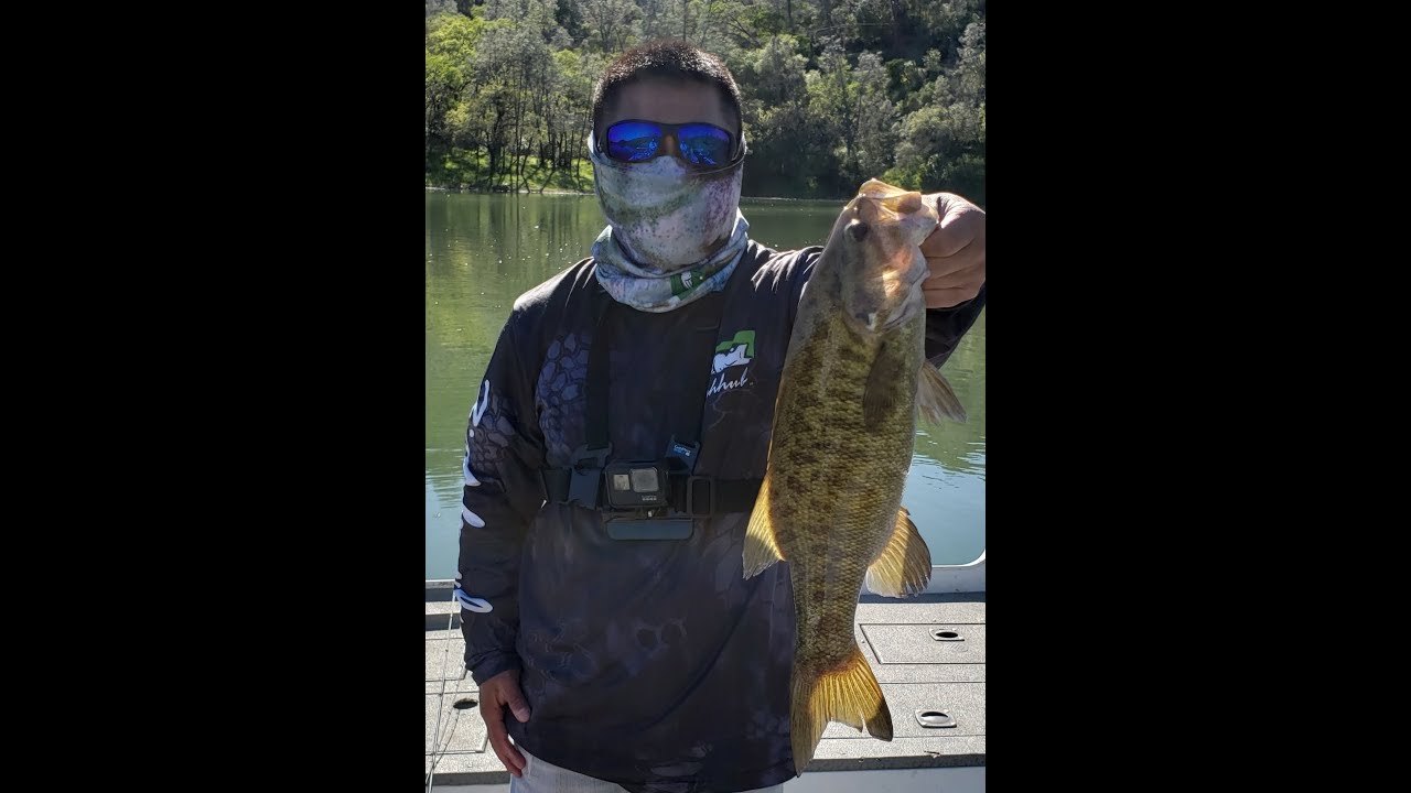 Bass fishing with Notorious Custom Jigs at Lake Berryessa - YouTube