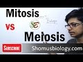 Difference between mitosis and meiosis