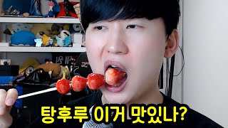 탕후루는 도대체 무슨 맛일까?