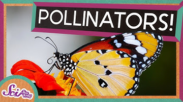 Flowers and Their Pollinators: A Perfect Match! | Spring is Here! | SciShow Kids