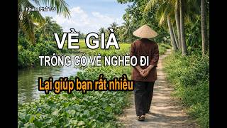 Về Già Trông Có Vẻ Nghèo Đi....nhưng Giúp Cho Bạn Rất Nhiều Điều Trong Cuộc Sống.