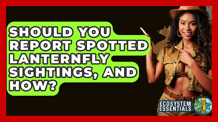 Should You Report Spotted Lanternfly Sightings, And How? - Ecosystem Essentials