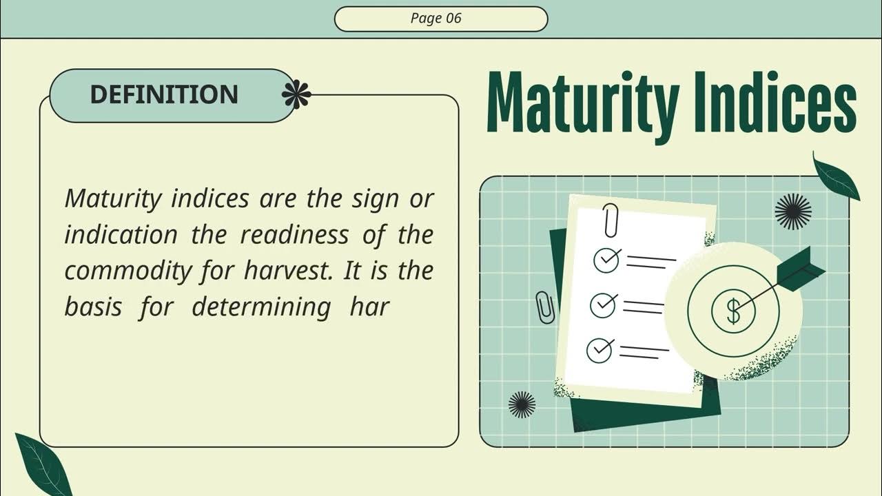 MATURITY INDICES YouTube