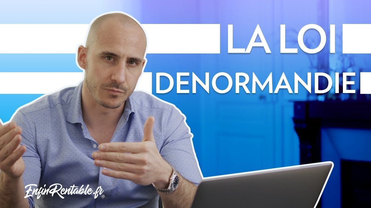 Mon AVIS sur la loi DENORMANDIE !