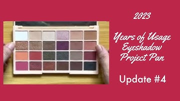 2023 Years of Usage Eyeshadow Project Pan | Update #4