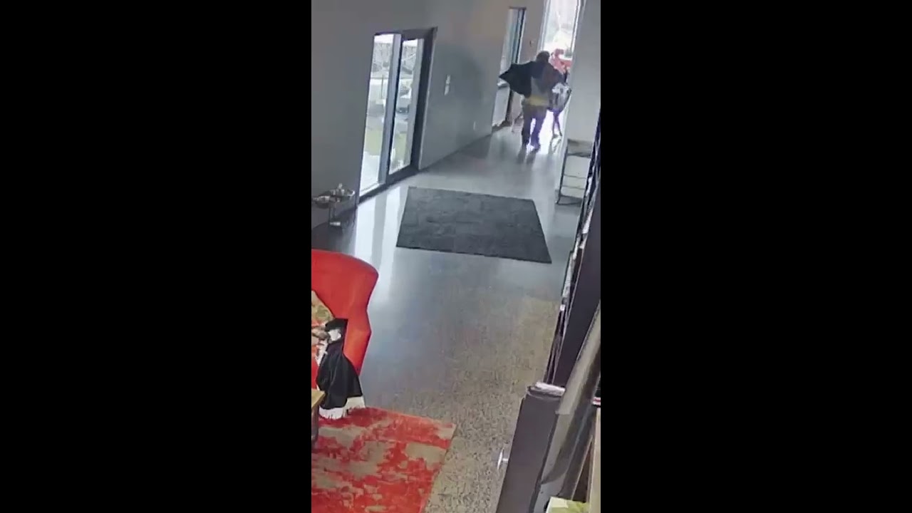 Great Dane Protects Alarmed Owner From Home Intruder An Animal Saved My Life A E Shorts