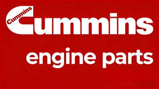 Genuine M11 Cummins Exhaust Valve 3800637 3417779 3417715 3080976 4999616 4955239