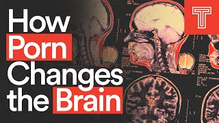 How Porn Changes the Brain || Neuro-Experts Explain