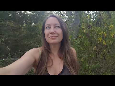 Tsara Shelton - "I Declare World Peace" #IDWP