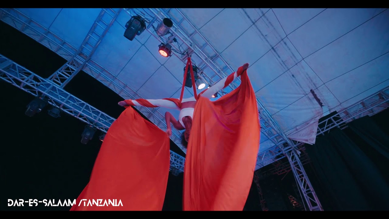 Diamond Platnumz - Performing live BAILA ( wasafi festival 2019)