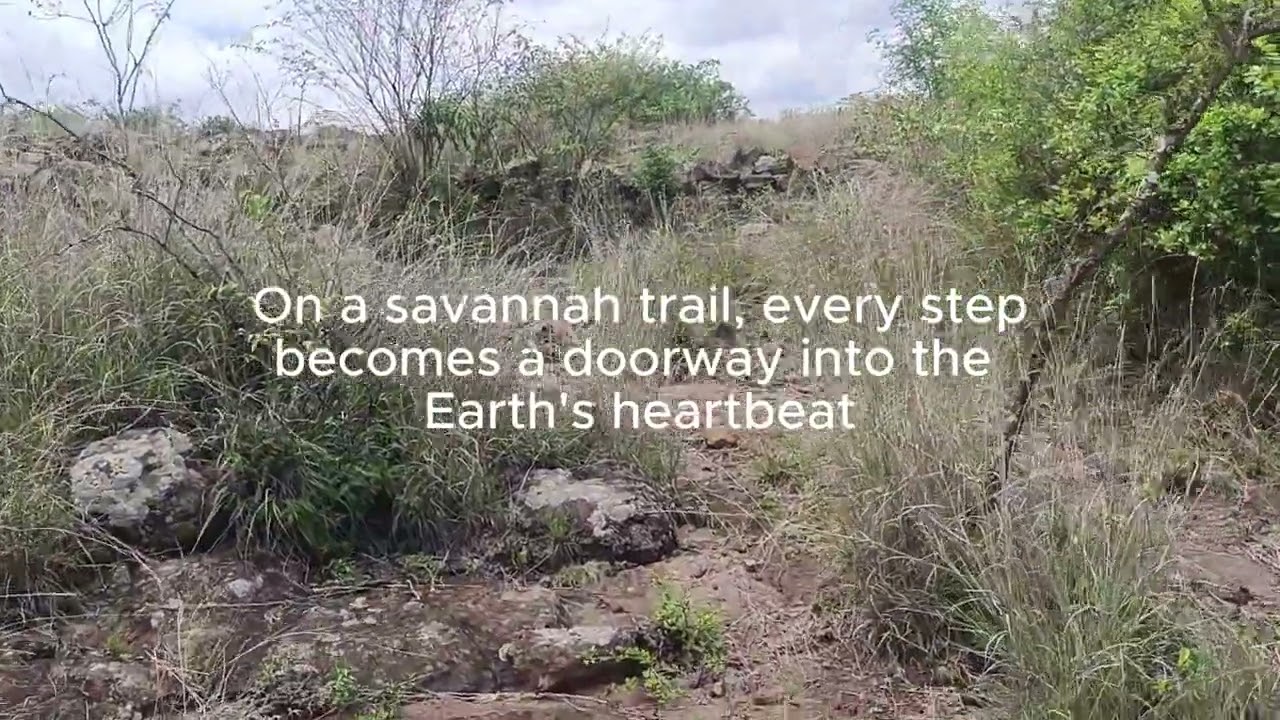 Enchanting Nature Trail