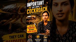 The Science of Cockroach Survival 🪳#Cockroach​ #science #biology #facts #mptet #neet