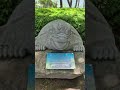 대전통영고속도로 산청휴게소에서 #산청휴게소 #효드림숲속의길 #travel #shorts #trekking