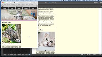 Dreamweaver CC 2020 - Layout with Flexbox