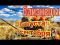 БЛИЗНЕЦЫ♊. ТАРО ПРОГНОЗ НА НЕДЕЛЮ С 31 АВГУСТА ПО 6 СЕНТЯБРЯ.