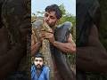 searching for the10 miter anaconda😱#youtubeshorts #shorts @Apnanasib932 #lifeisbutadrem