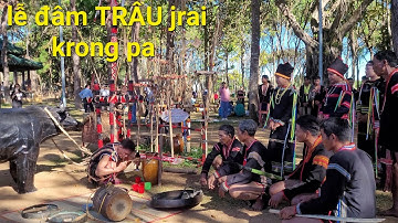 cồng chiêng tái hiện lại (lễ đâm trâu)của người jrai krong pa.