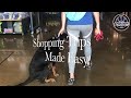 8 Month Old Rottweiler 8 Month Old Rottweiler