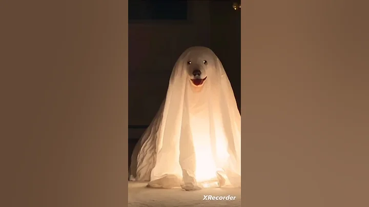 Adorable Puppies Dressed Like Ghosts Haunt House! #halloween #dogs #shorts