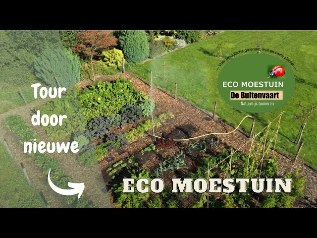 Bezoek aan nieuwe Eco Moestuin