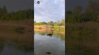 РЫБАЛКА АСТРАХАНЬ 2025 #рыбалкаастрахань #рыбалкавидео