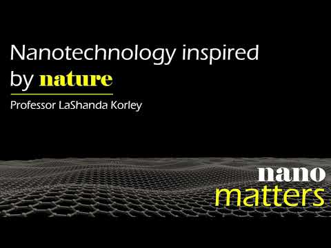 Nanotechnology inspired by nature