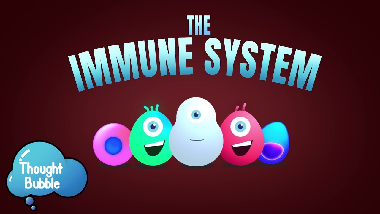 Immune System Explained | Simple Biology | Immune Response | Thought