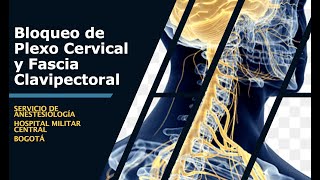 BLOQUEOS DE PLEXO CERVICAL Y FASCIA CLAVIPECTORAL