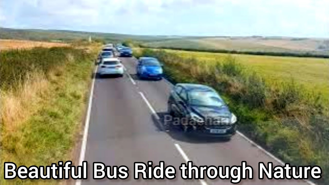 [UK] 🇬🇧 Brighton Bus || Beautiful Bus Ride through Nature Valley - YouTube