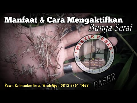 Cara Mengaktifkan Kembang