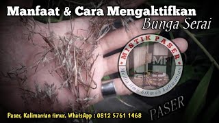 Cara Mengaktifkan Kembang Sereh