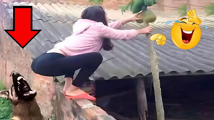 TENTE NÃO RIR - Melhores Memes e Vídeos Engraçados 2025 #4