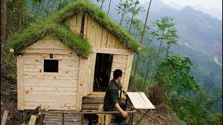 : Full video: 23 days of building a wooden shelter in the forest