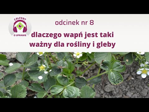 Wideo: Dlaczego drobnoustroje są ważne w glebie?